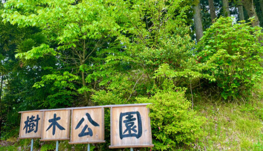 石川県の穴場スポット樹木公園の見どころ｜人気の理由は新緑と紅葉の癒し効果